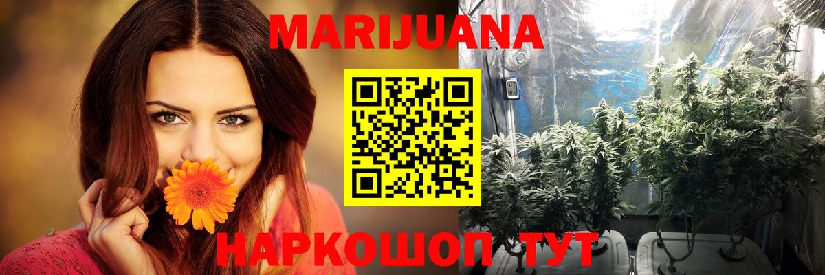Щёлково  Шишки марихуана OG Kush  Вход с VPN  Марихуана OG Kush  Каннабис AK-47 